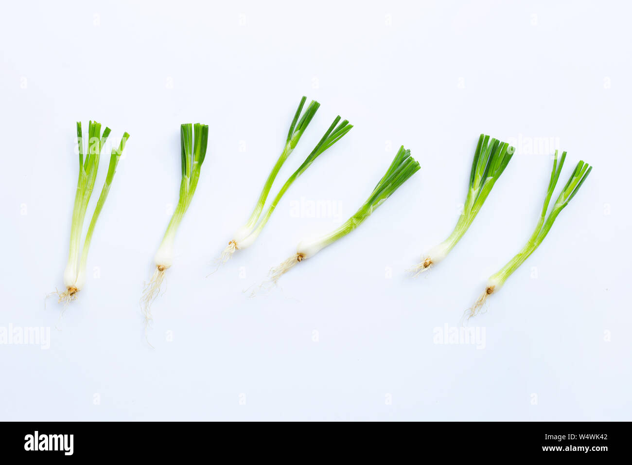 green onions isolated on white background Stock Photo - Alamy