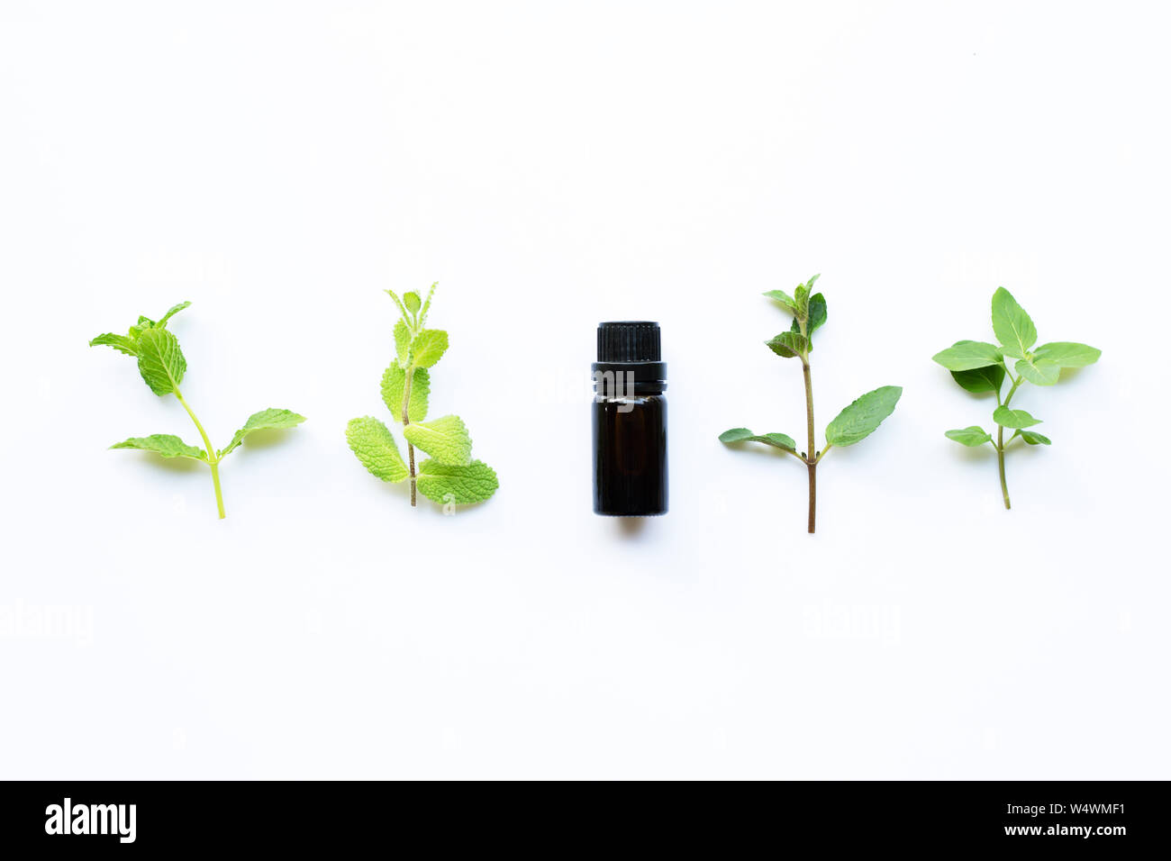 Essential oil with different types of mint on white background Stock