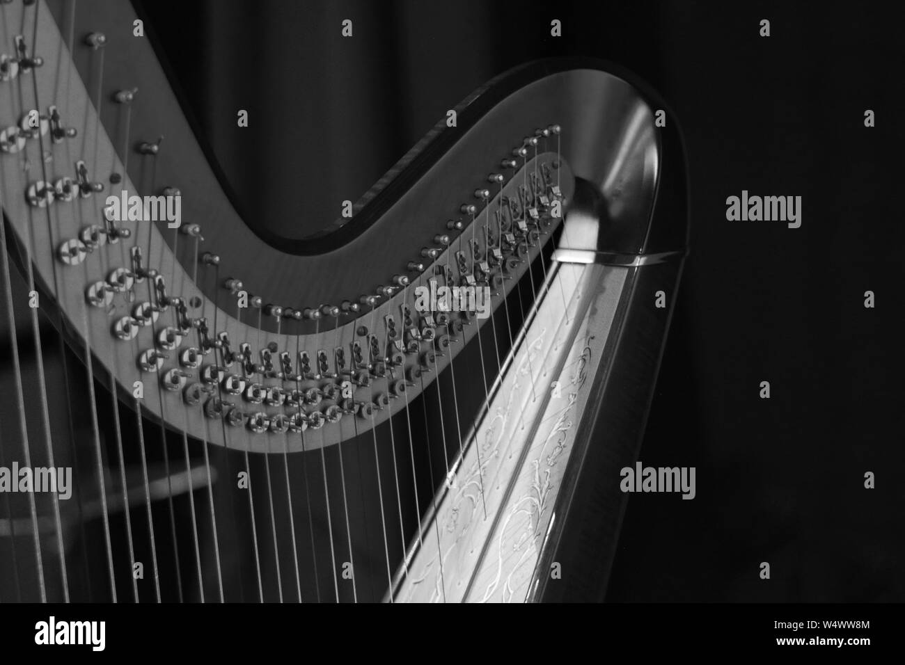 Harp music. Harp instrument closeup. Detail of musical instrument Stock