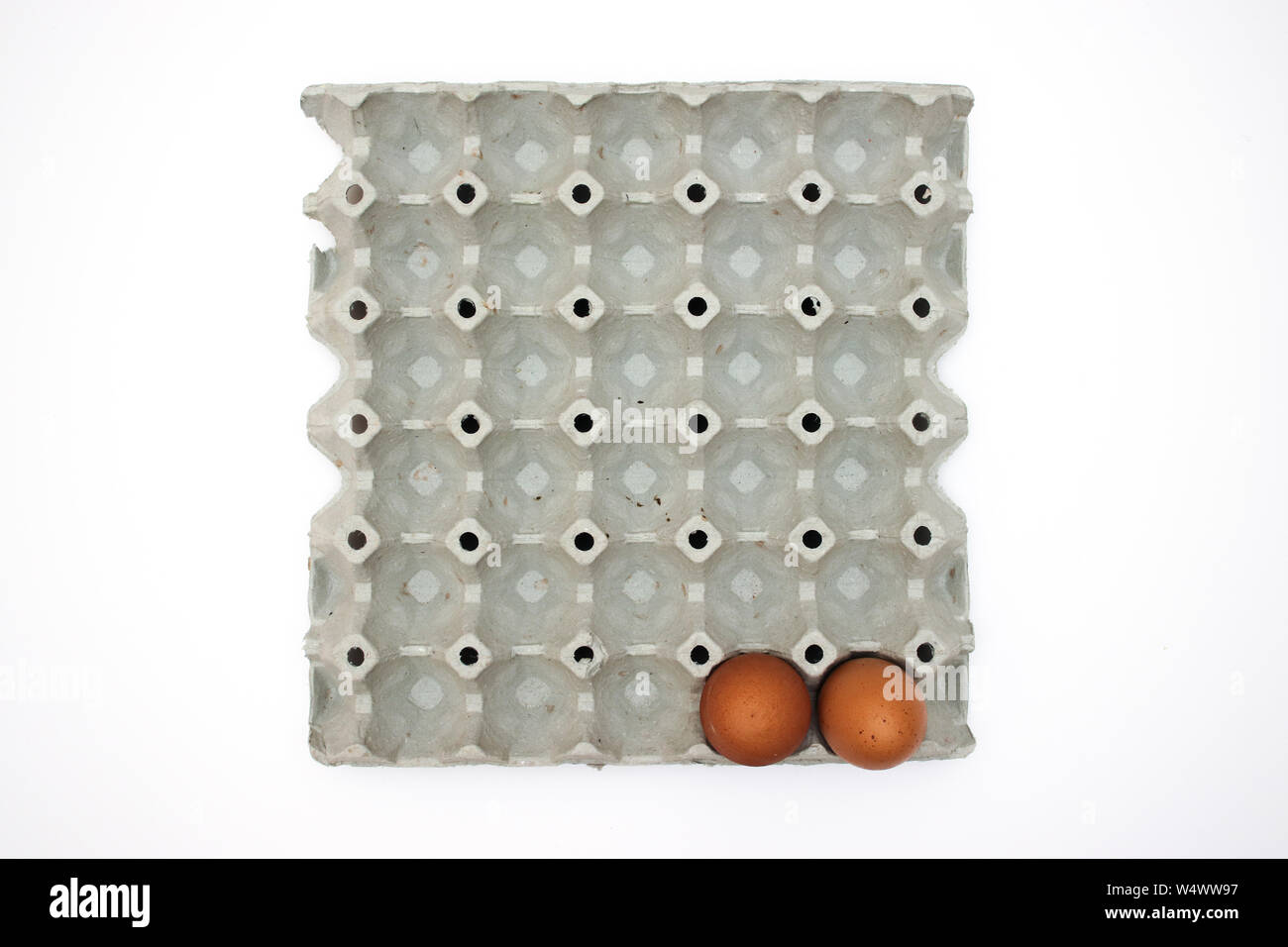 Fresh eggs in cardboard box Stock Photo Alamy