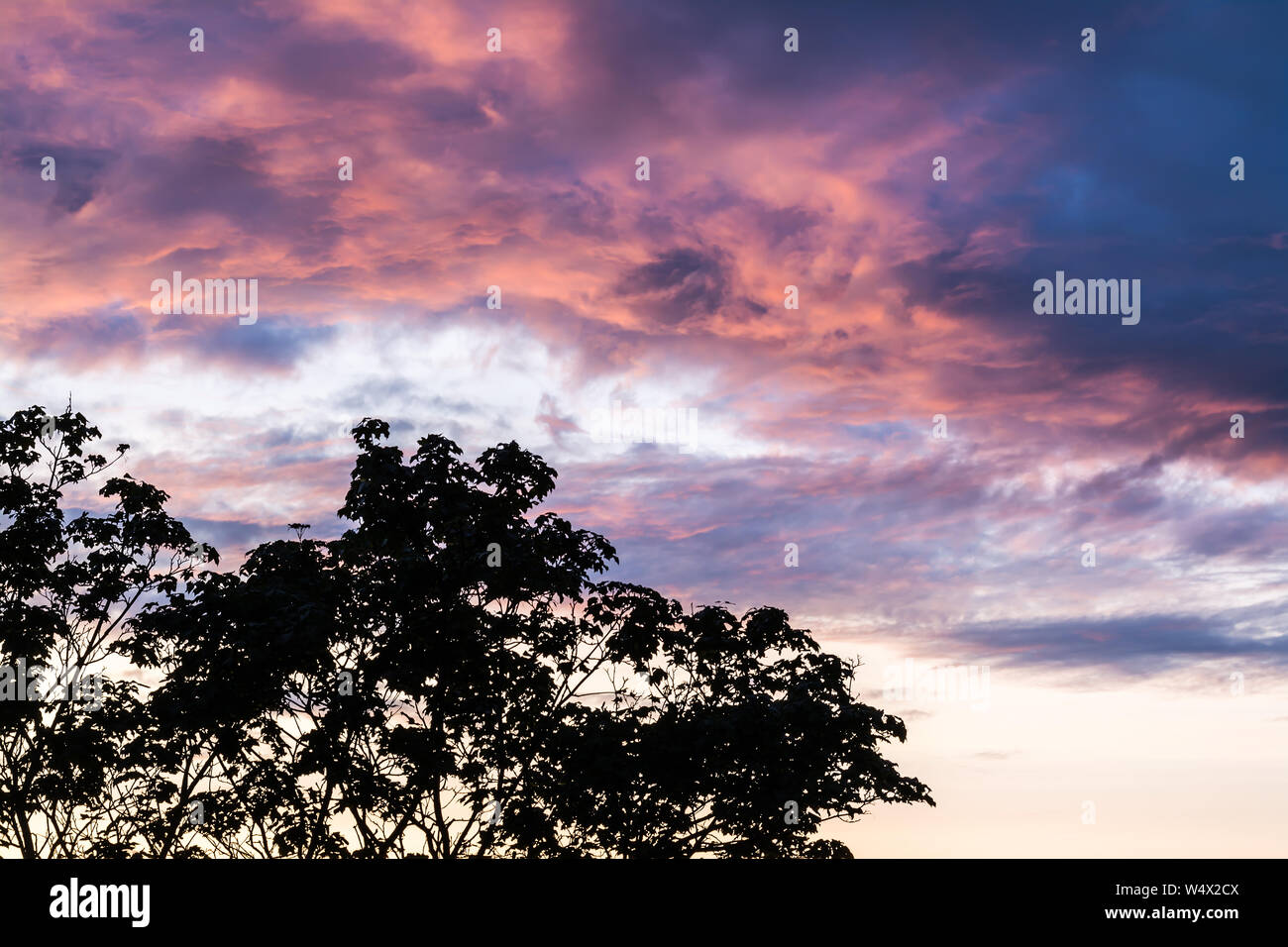 Beautiful sky with colorful clouds at sunset and silhouettes of trees ...