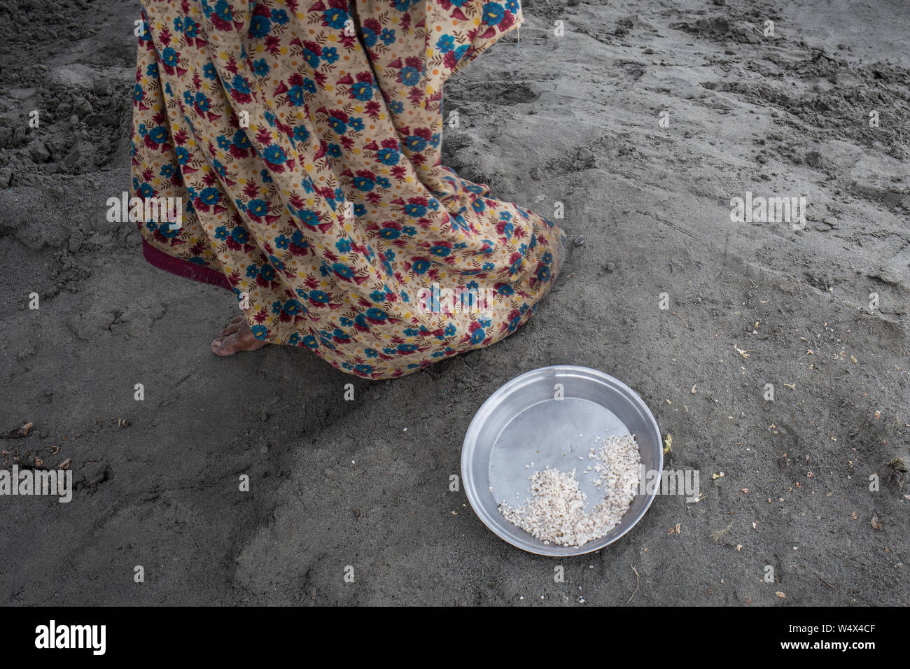 Only few grains of rice left for the day for whole family Stock Photo ...