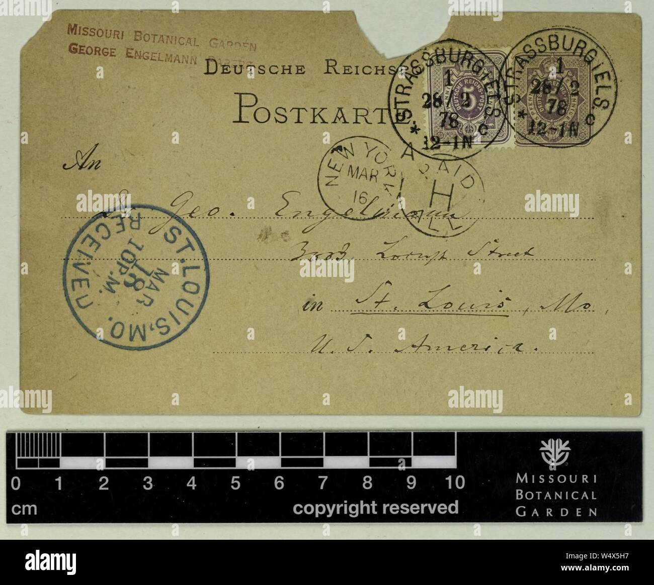 Correspondence - Bary (Anton) and Engelmann (George) (Feb 28, 1878 (1) verso) Stock Photo