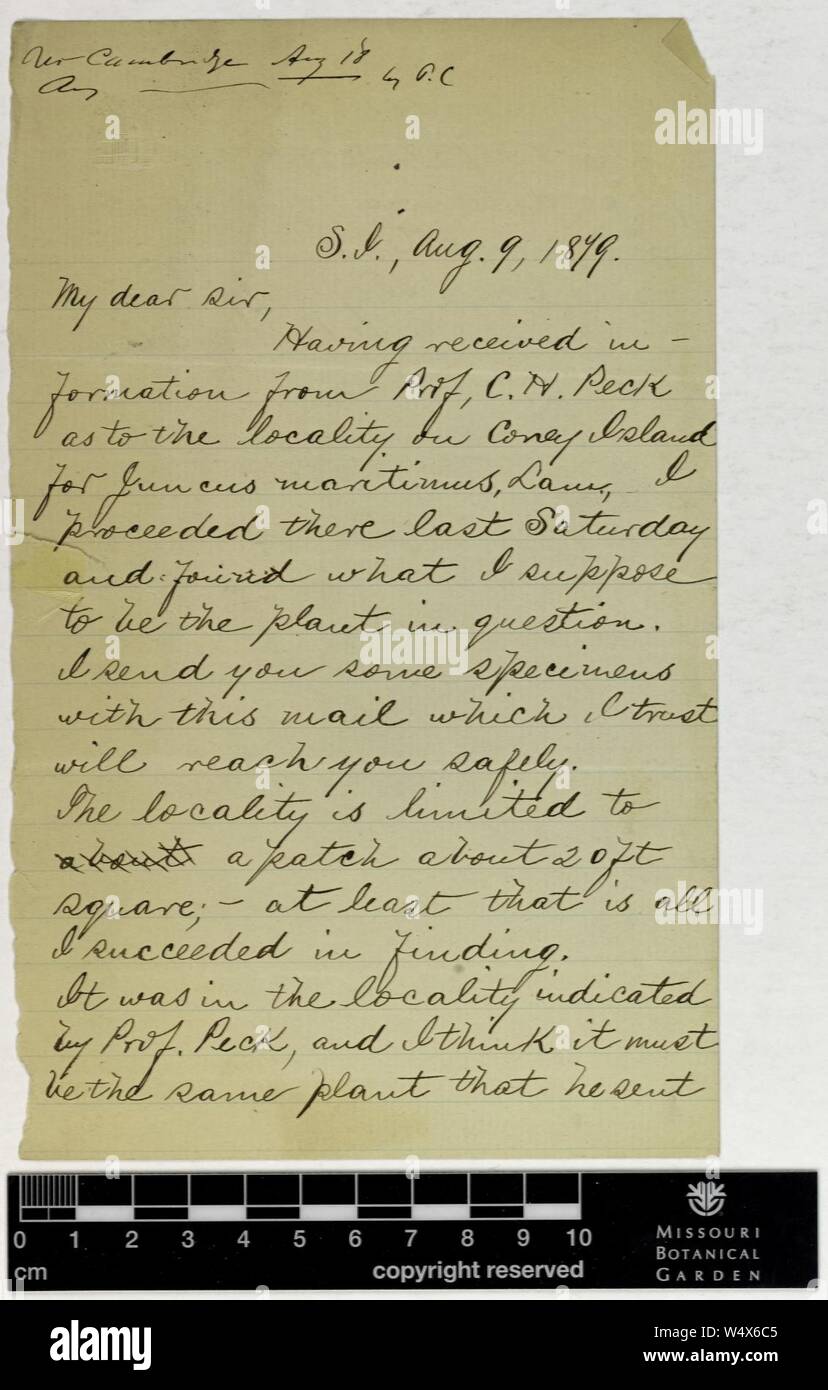 Correspondence - Britton (Nathaniel) and Engelmann (George) (Aug 09, 1879 (1)) Stock Photo