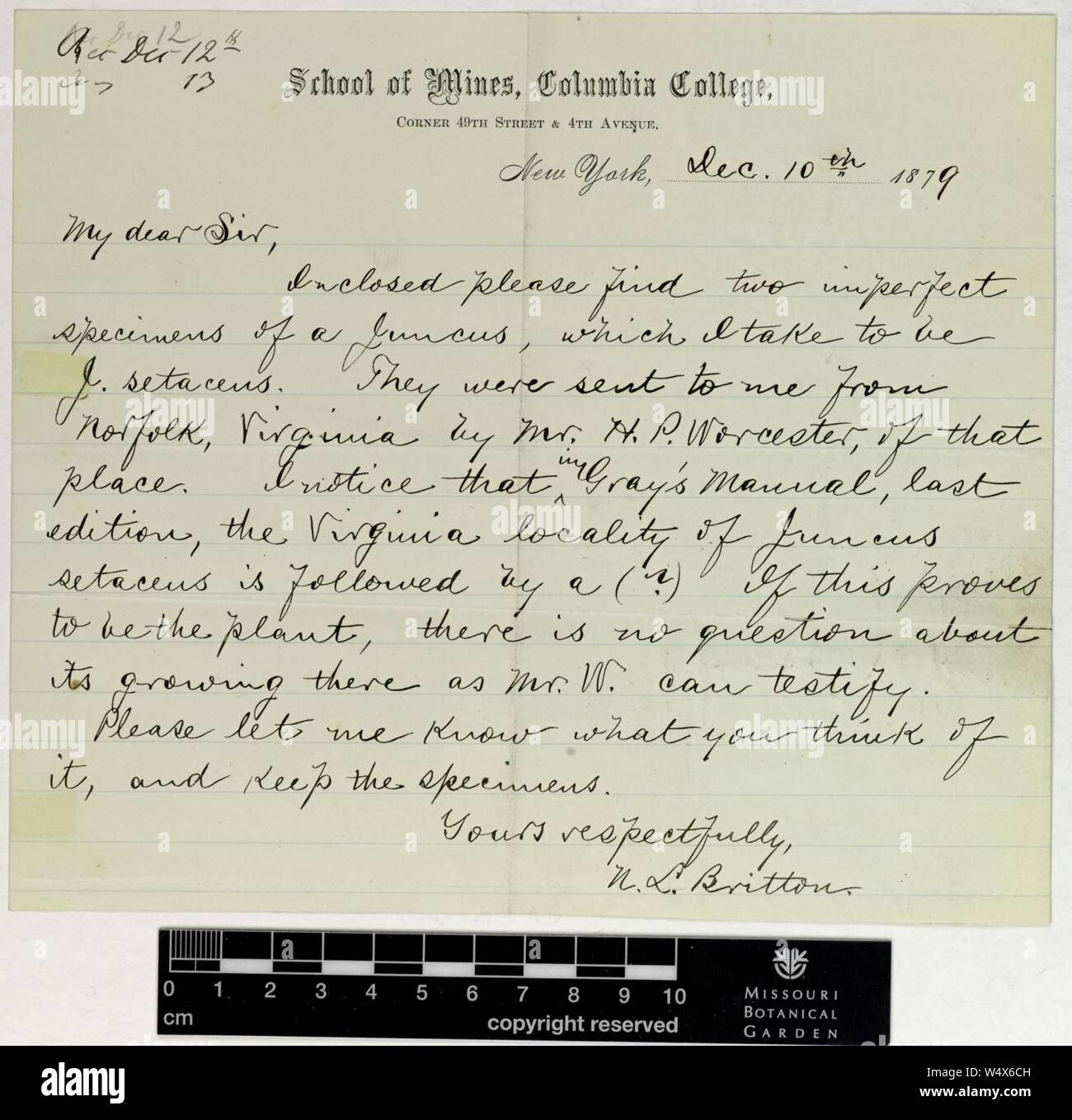 Correspondence - Britton (Nathaniel) and Engelmann (George) (Dec 10, 1879 (1)) Stock Photo