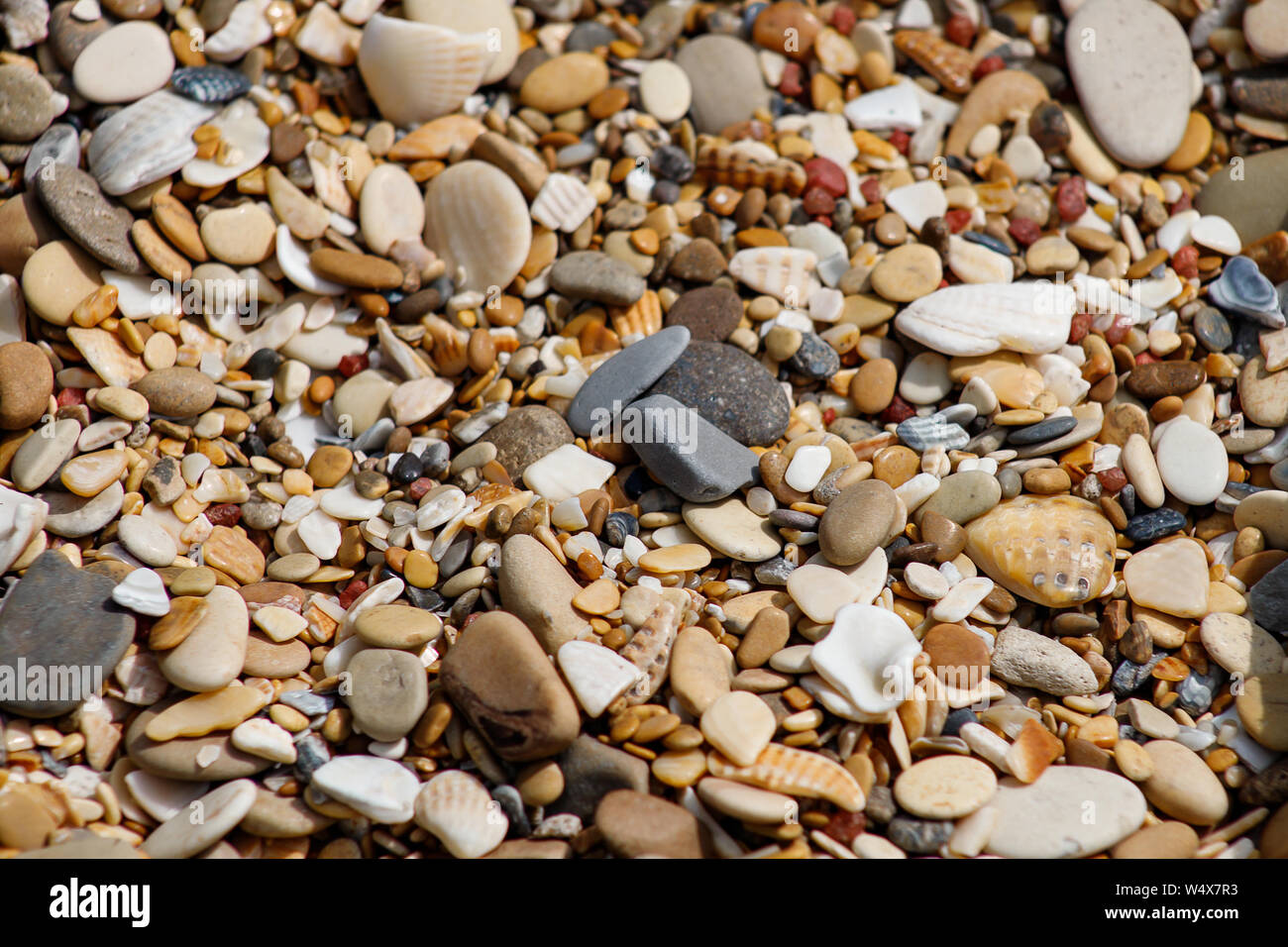 Multi Colored Stones Colored Background Colorful Decorative