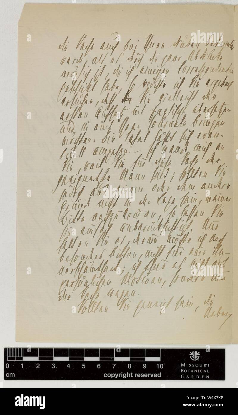 Correspondence - Eichler (August) and Engelmann (George) (Feb 28, 1882 (1) verso) Stock Photo