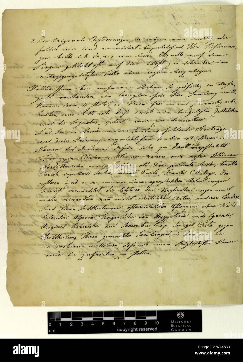 Correspondence - Fenzl (Eduard) and Engelmann (George) (Jun 24, 1846 (1) verso) Stock Photo