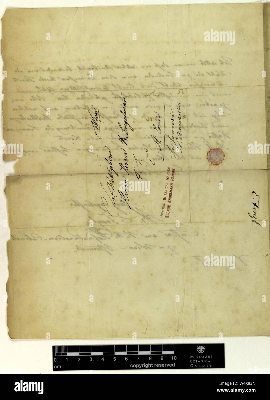 Correspondence - Fenzl (Eduard) and Engelmann (George) (Jun 24, 1846 (2) verso) Stock Photo