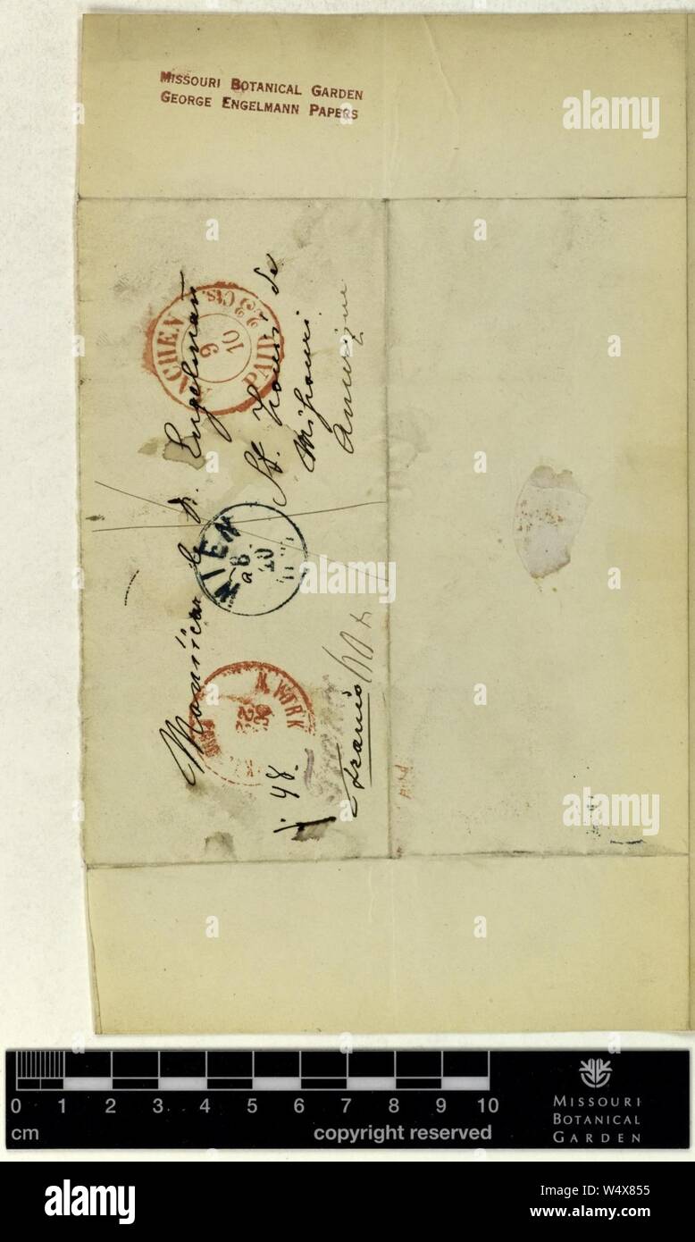 Correspondence - Fenzl (Eduard) and Engelmann (George) (Oct 01, 1866 (2) verso) Stock Photo
