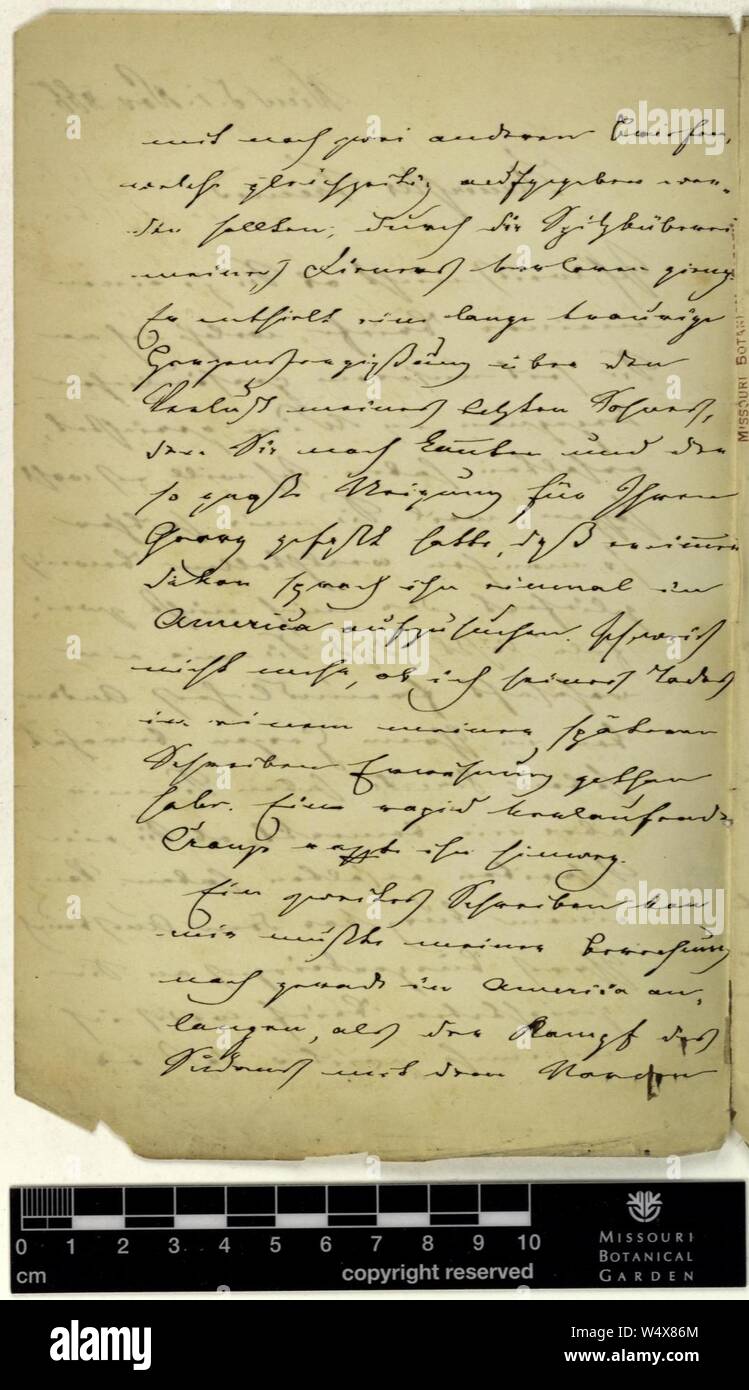 Correspondence - Fenzl (Eduard) and Engelmann (George) (Nov 01, 1866 (1) verso) Stock Photo
