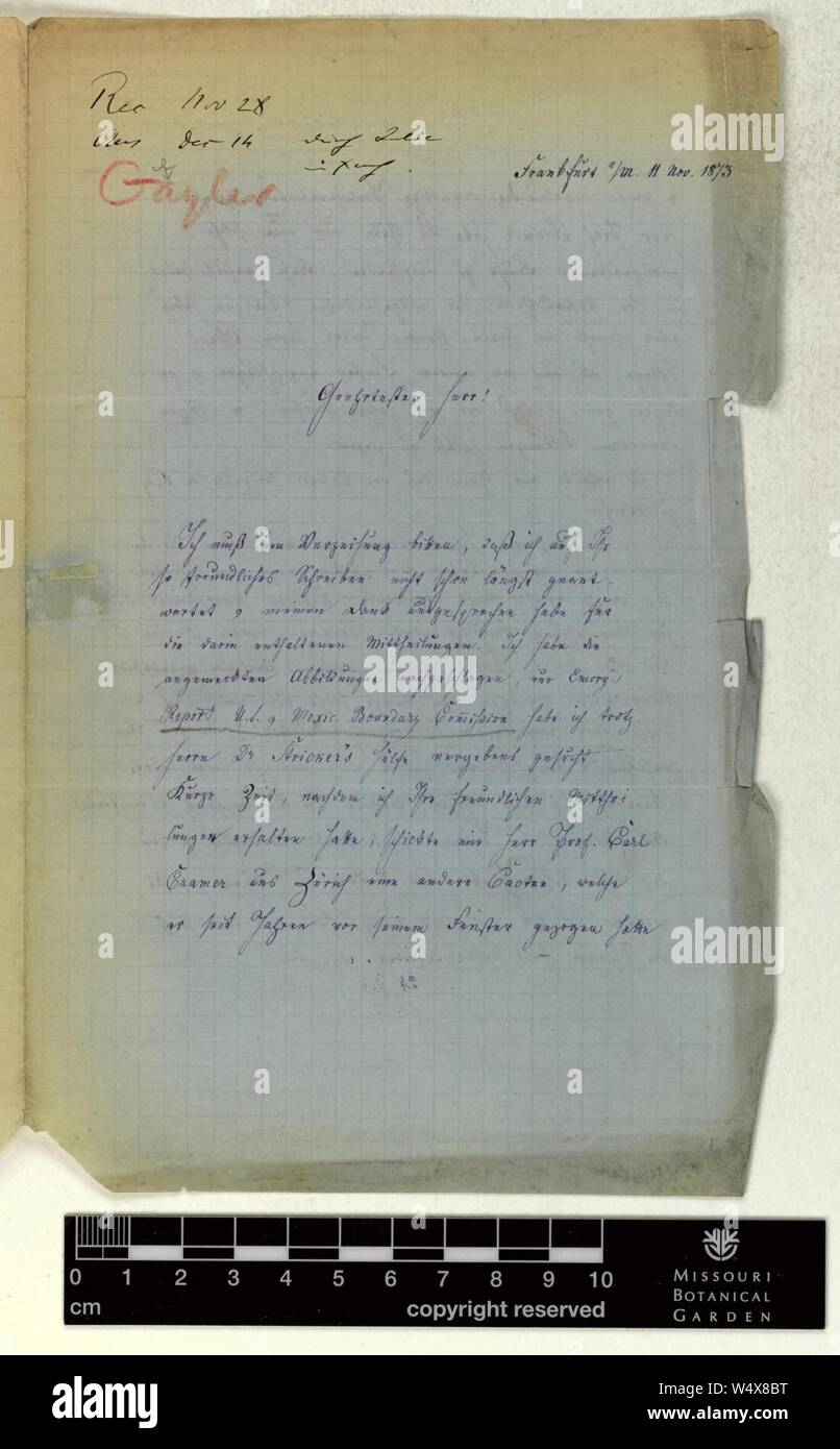Correspondence - Geyler (Hermann) and Engelmann (George) (Nov 11, 1873 (1)) Stock Photo