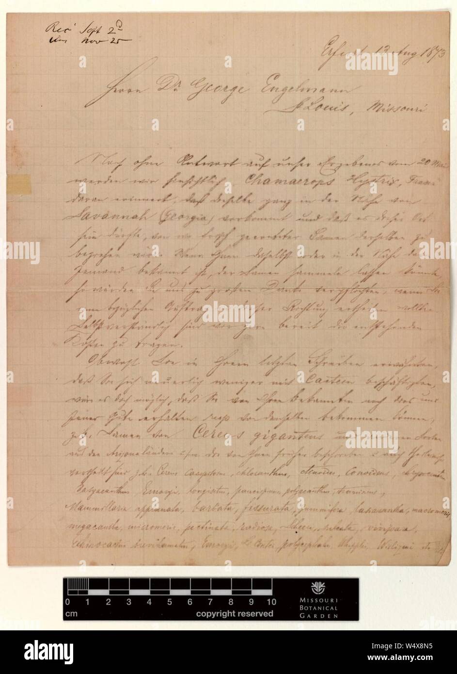 Correspondence - Haage and Schmidt and Engelmann (George) (Aug 13, 1873 (1)) Stock Photo