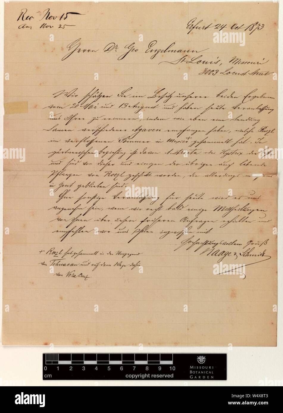 Correspondence - Haage and Schmidt and Engelmann (George) (Oct 24, 1873 (1)) Stock Photo