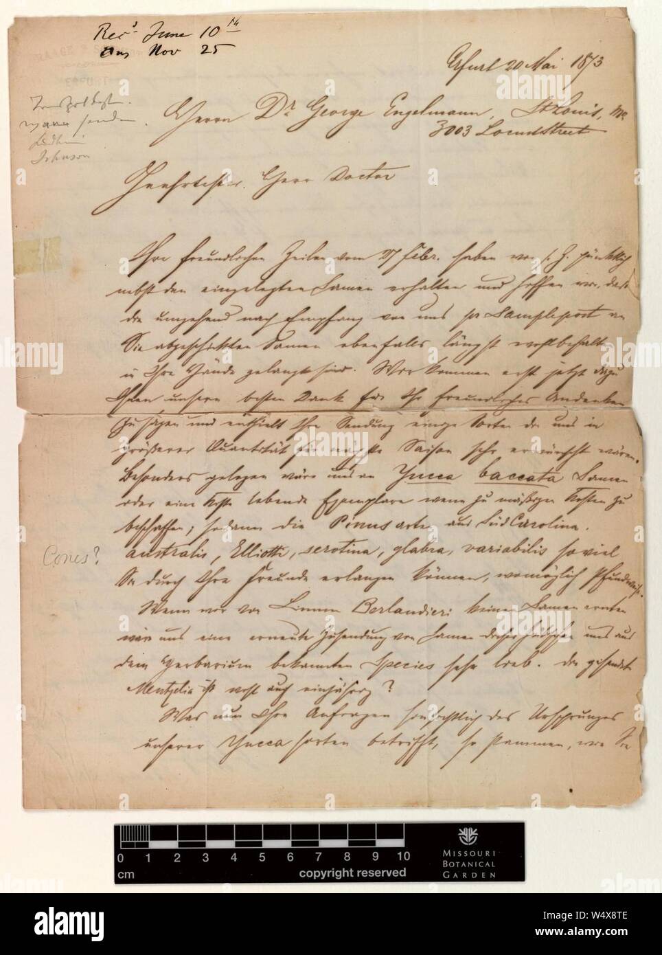 Correspondence - Haage and Schmidt and Engelmann (George) (May 20, 1873 (1)) Stock Photo