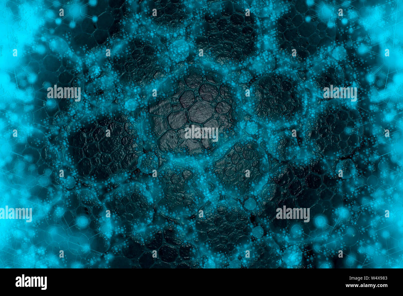 Biofilm Biology High Resolution Stock Photography and Images - Alamy