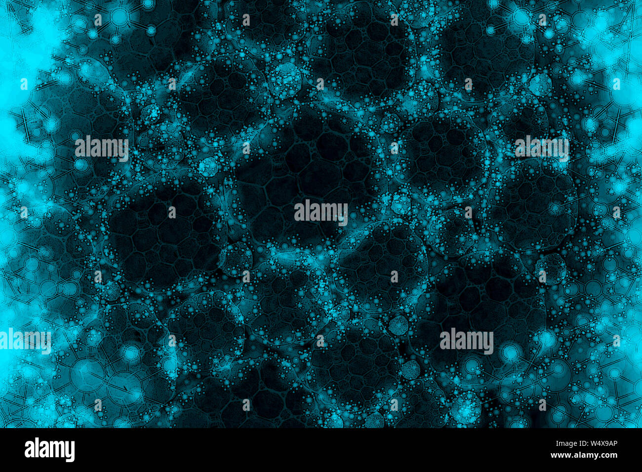 Biofilm High Resolution Stock Photography and Images - Alamy