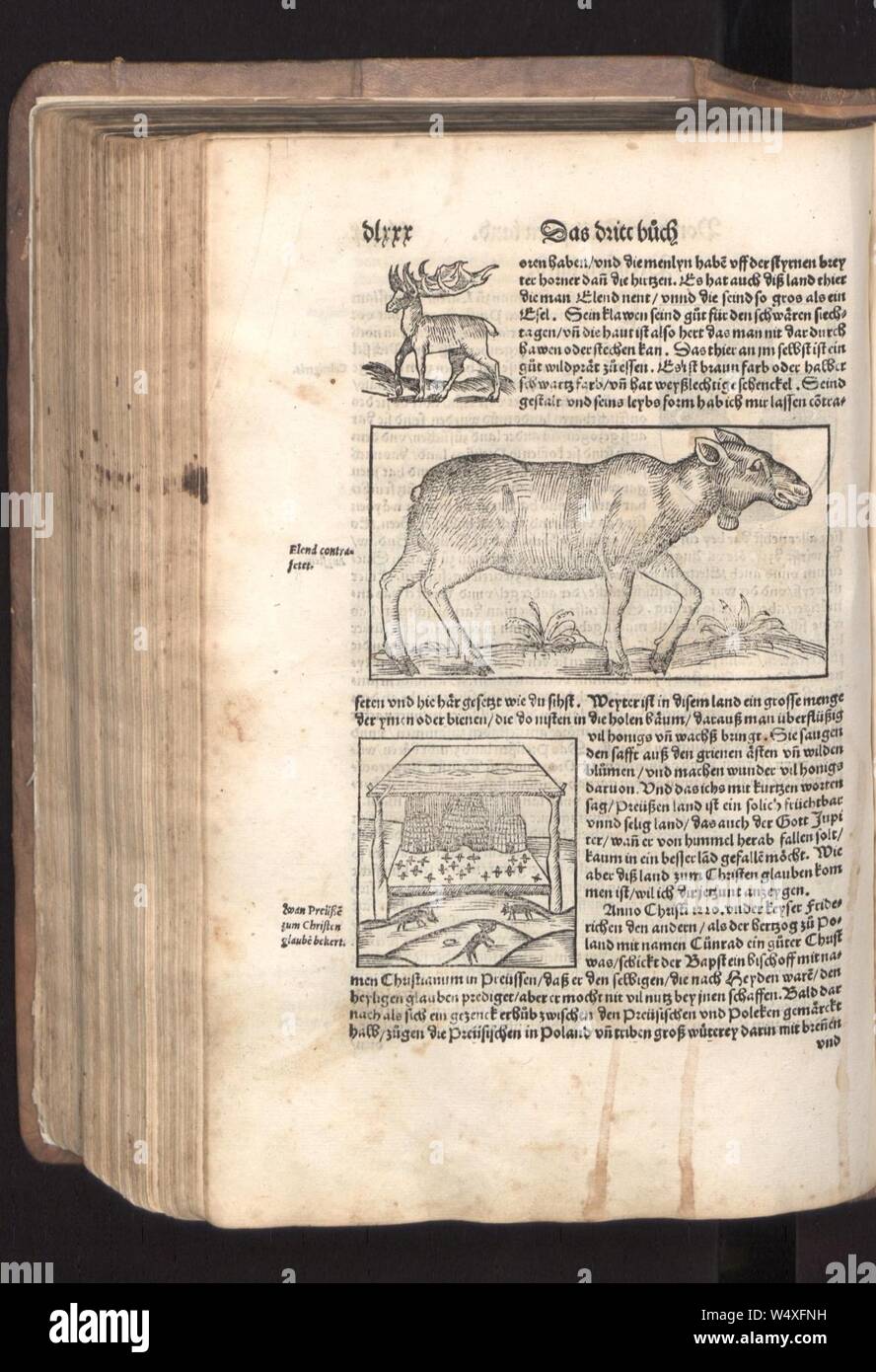 Cosmographia (Sebastian Münster) 580 Stock Photo Alamy