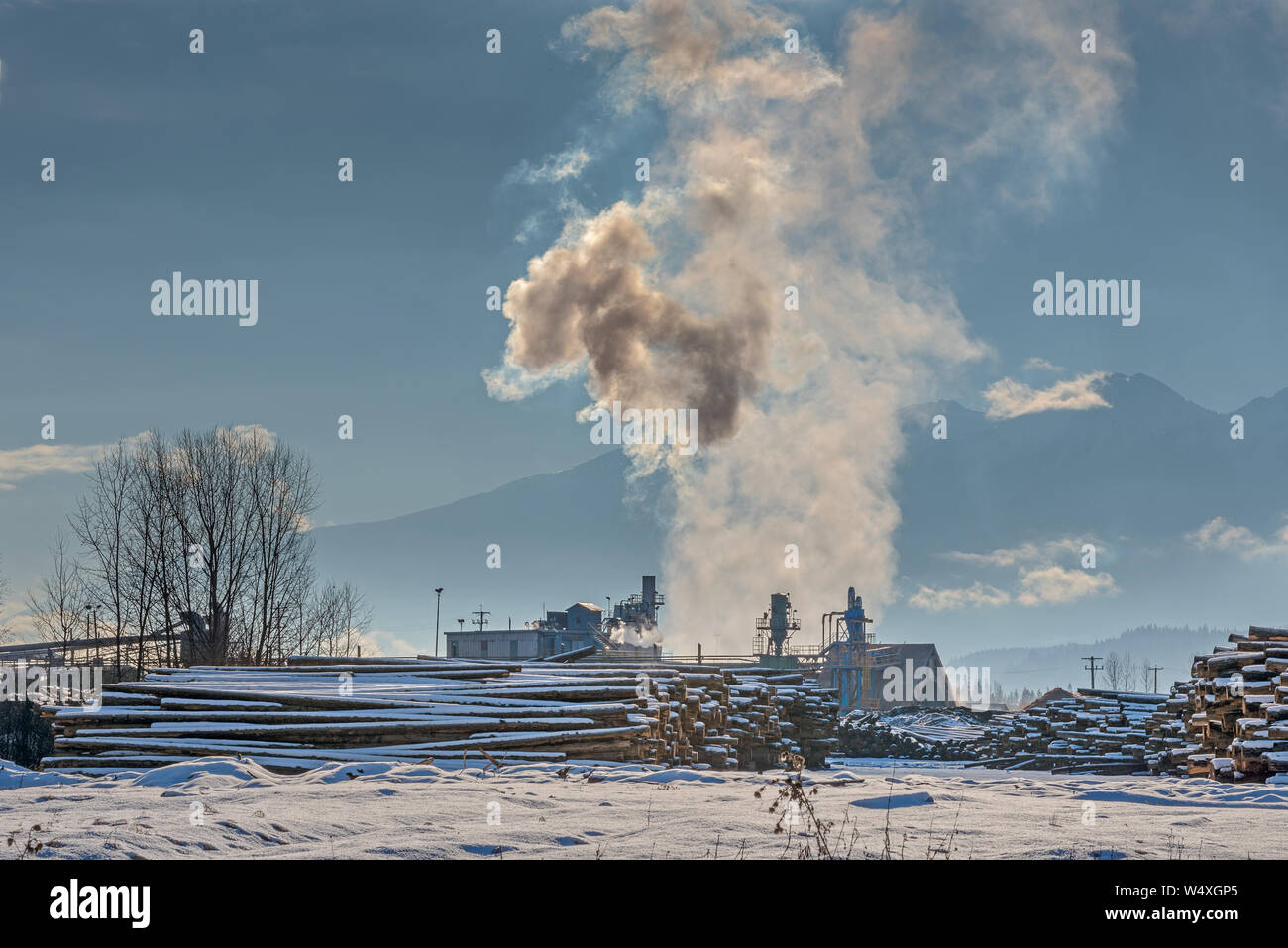 Lumber Mill at Golden, British Columbia Stock Photo Alamy