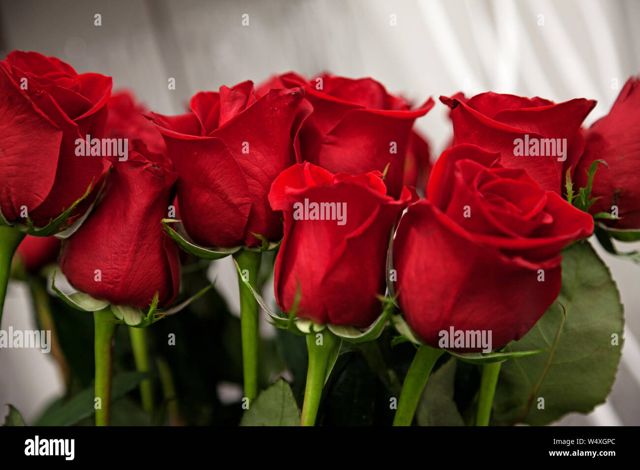 WHO WAS ST VALENTINE visual data 8