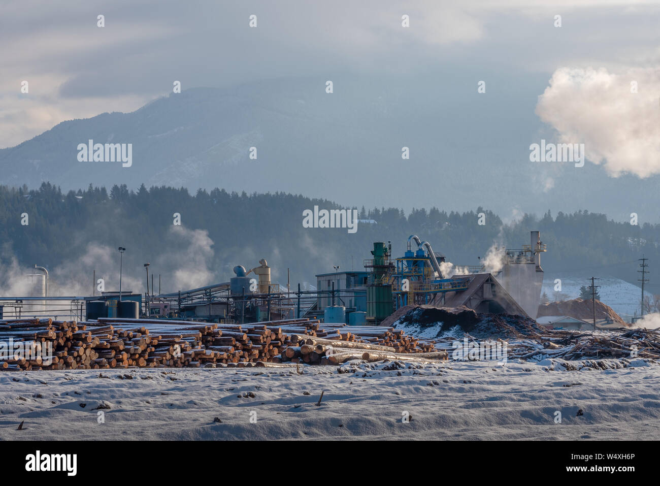Lumber Mill at Golden, British Columbia Stock Photo Alamy