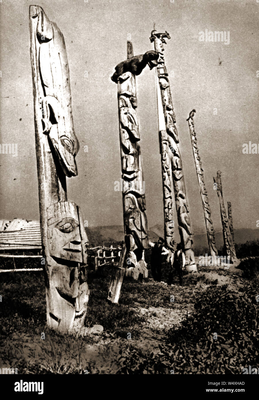 Circa 1940 - U.S.  Native Red Indian carved family (house) totem poles (location unknown) - Size can be estimated by the two human figures standing below one Stock Photo
