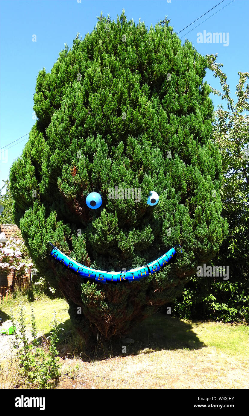 Smiling HAPPY BIRTHDAY tree. (With balloon eyes -UK) Stock Photo