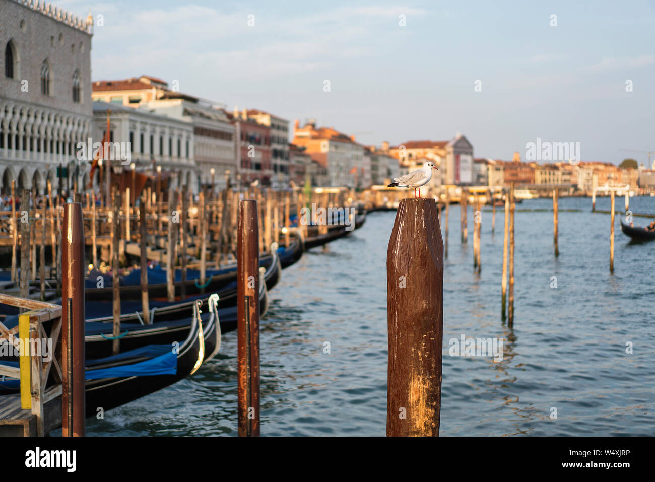 Typical famous gondolas in Venice Stock Photo - Alamy