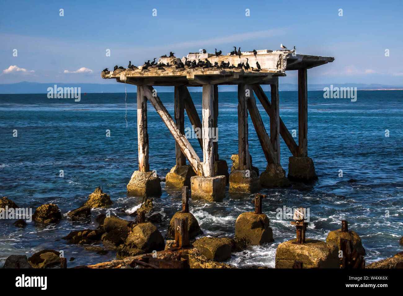 Seabirds colonize old crumbling pier from abandoned cannery in Monterey California coastal seascape. Stock Photo