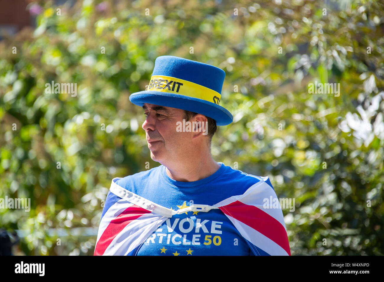 Mr stop brexit steve bray hires stock photography and images Alamy