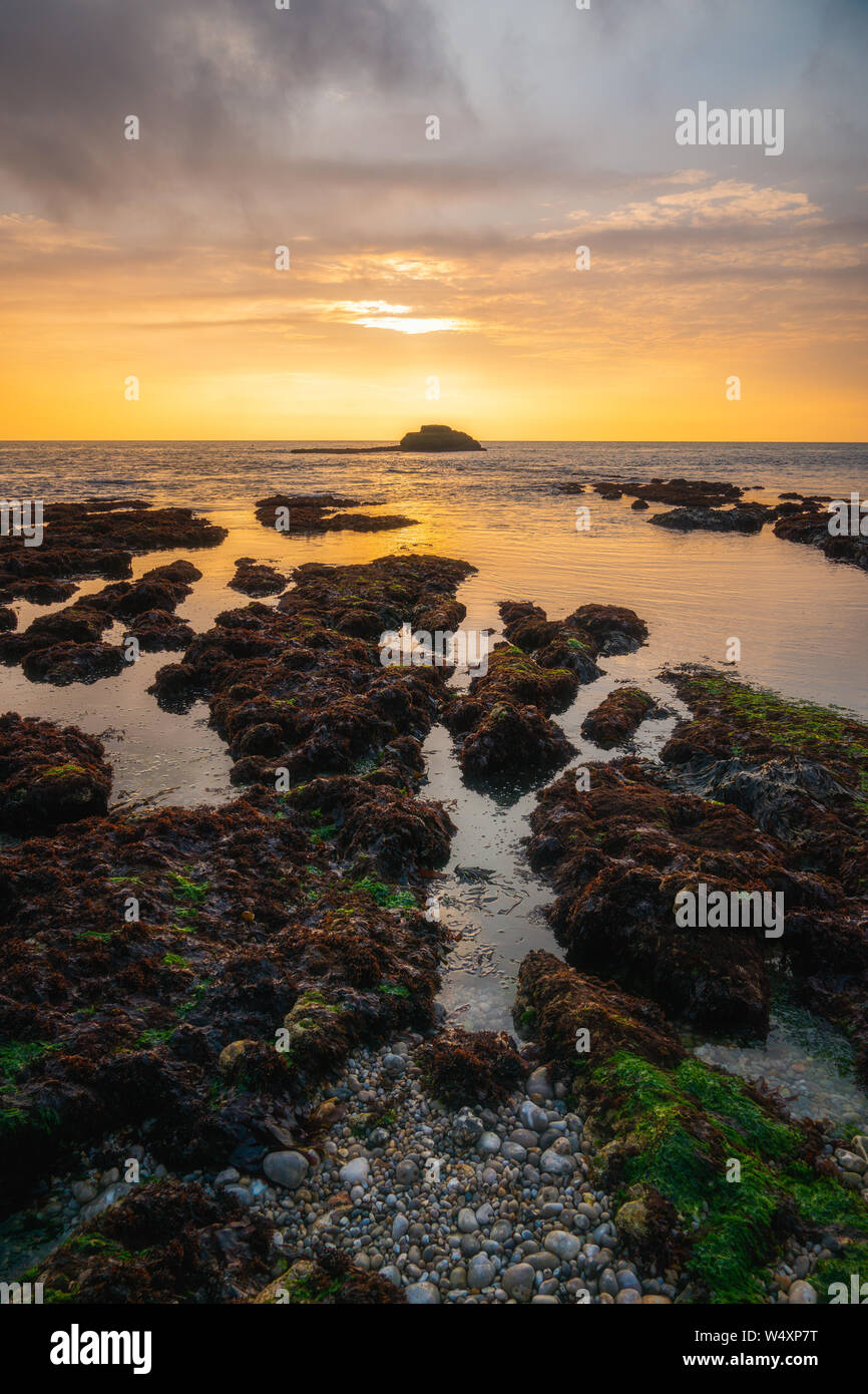 Colorful coastline vertical scenery at sunset on an overcast rainy day. Scenic seascape, Normandy, France. Stock Photo