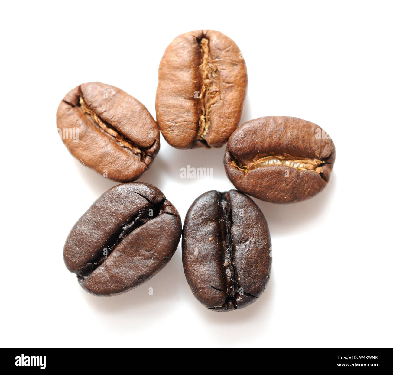 Coffee beans on white background Stock Photo - Alamy