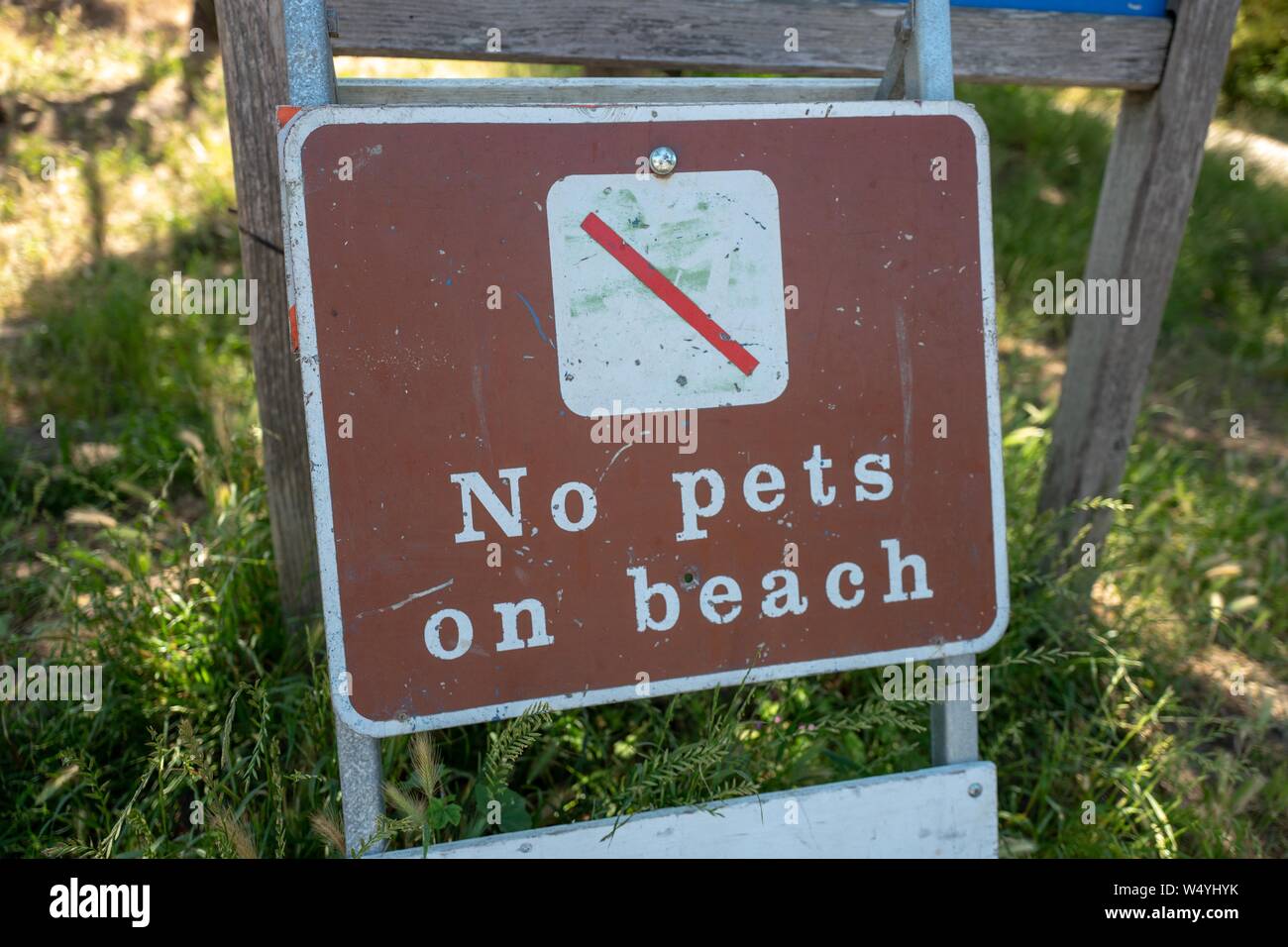 Sign reading No Pets on Beach and warning visitors that pets are not
