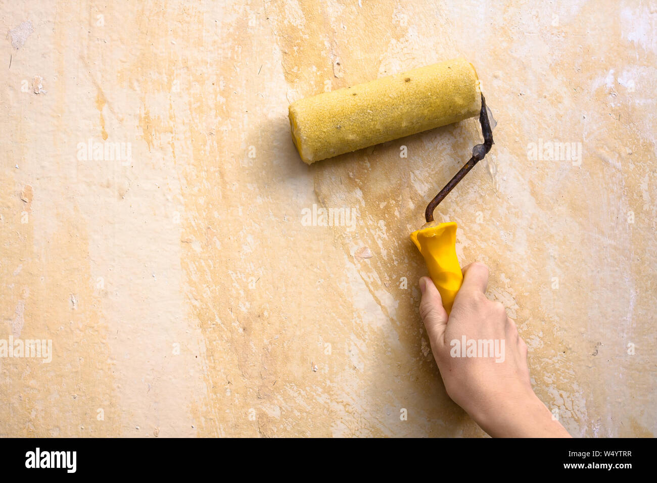 hand smearing wall with glue for wallpaper, closeup Stock Photo
