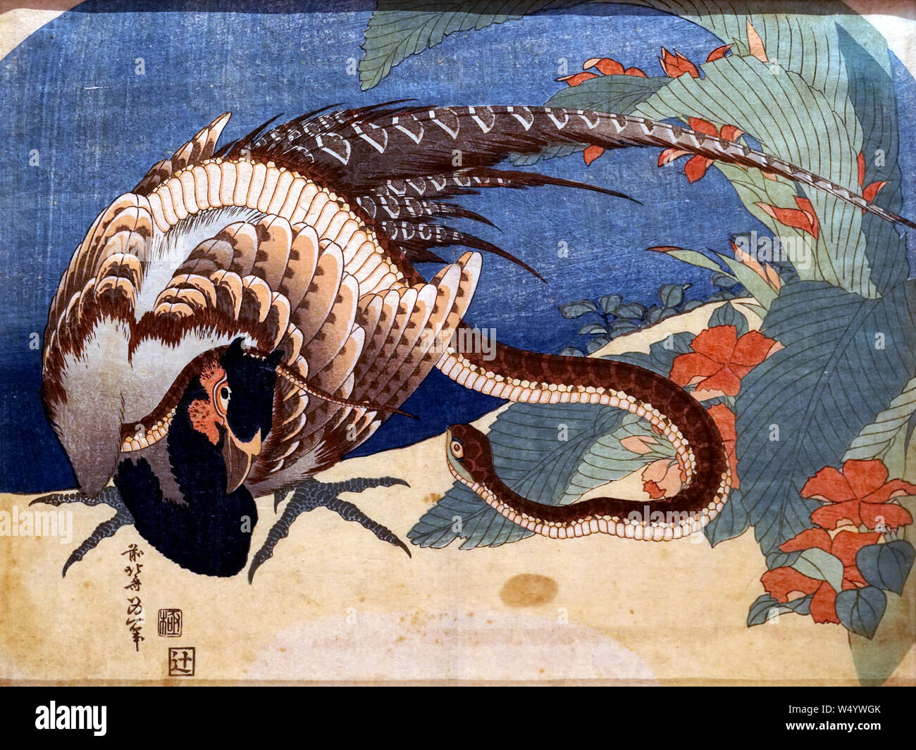 Pheasant and snake, by Katsushika Hokusai, woodblock print, Edo period, 19th century Stock Photo
