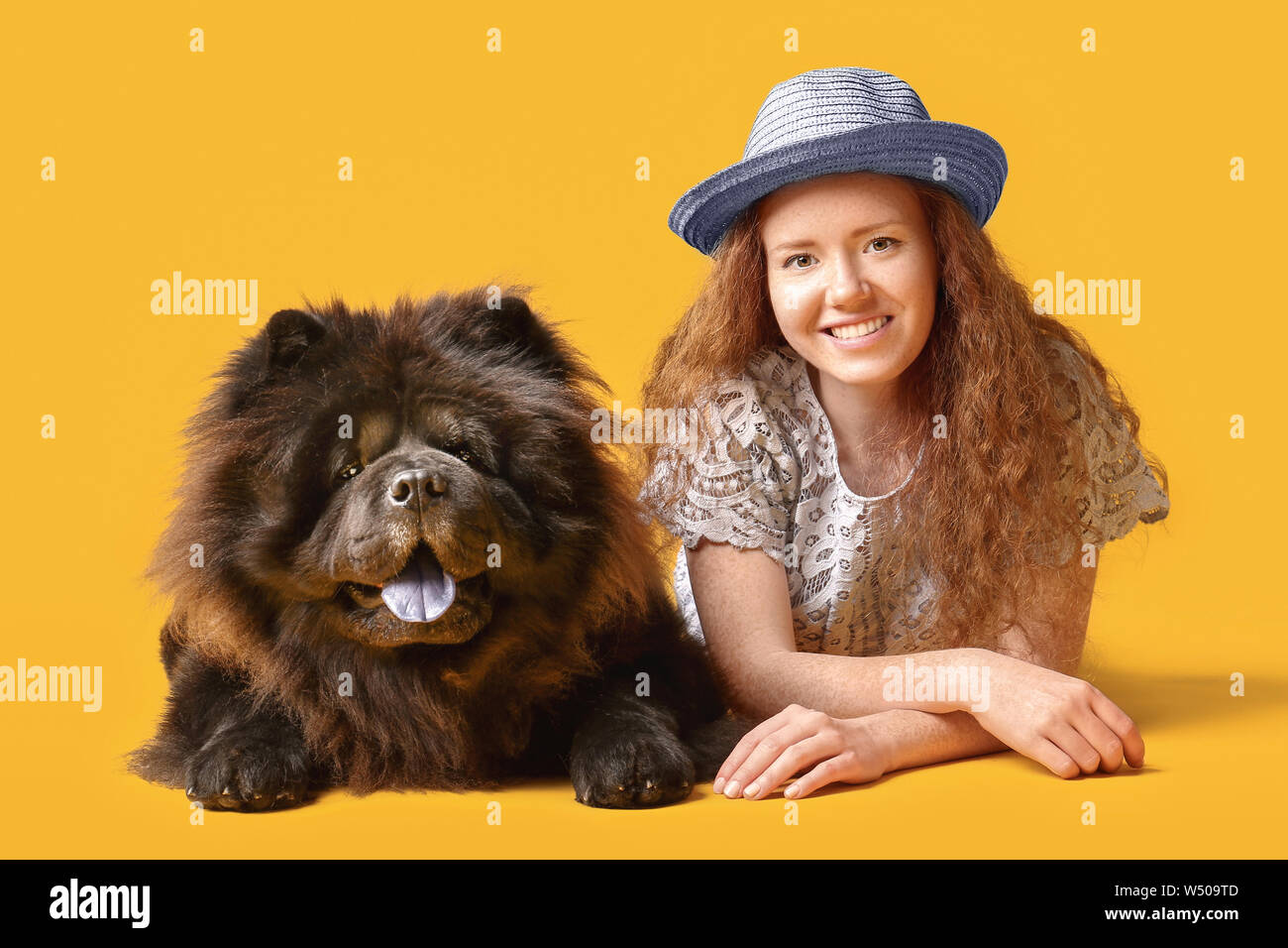 Young woman with cute Chow-Chow dog on color background Stock Photo