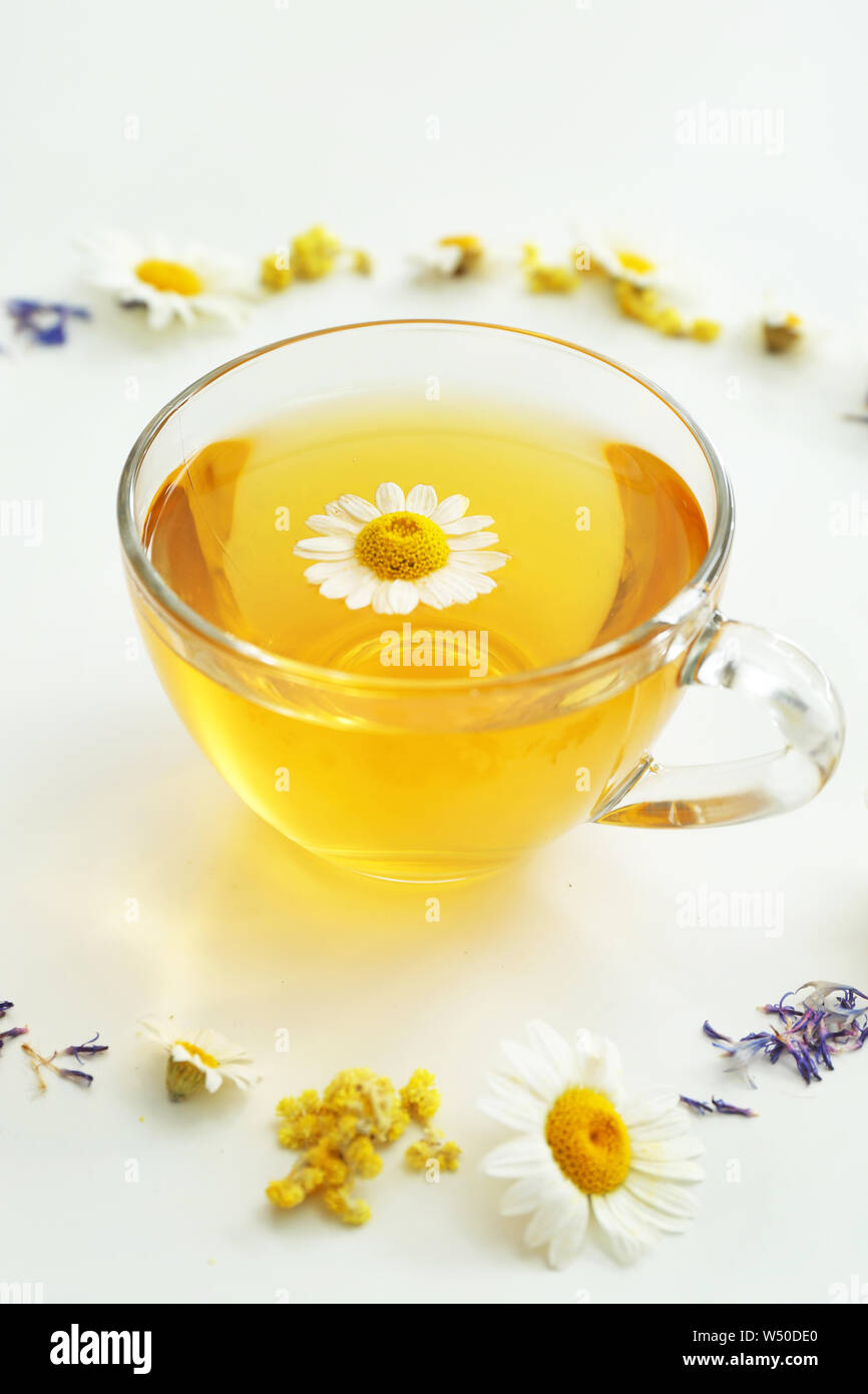 Cup of hot chamomile tea and flowers on white background Stock Photo ...