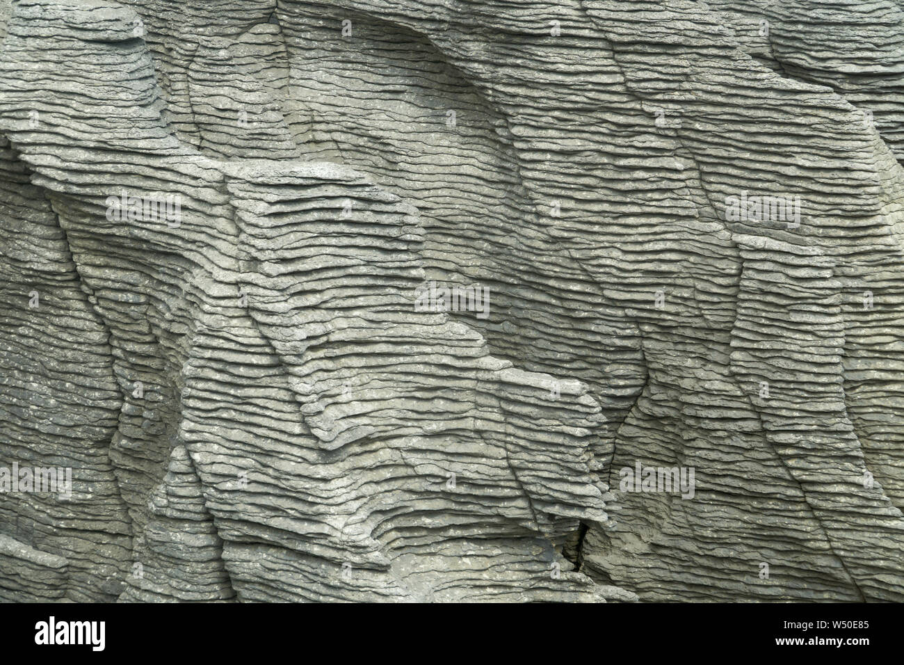 Bedding expression in Oligocene-age limestone at Punakaiki, New Zealand --Pancake Rocks. Stock Photo
