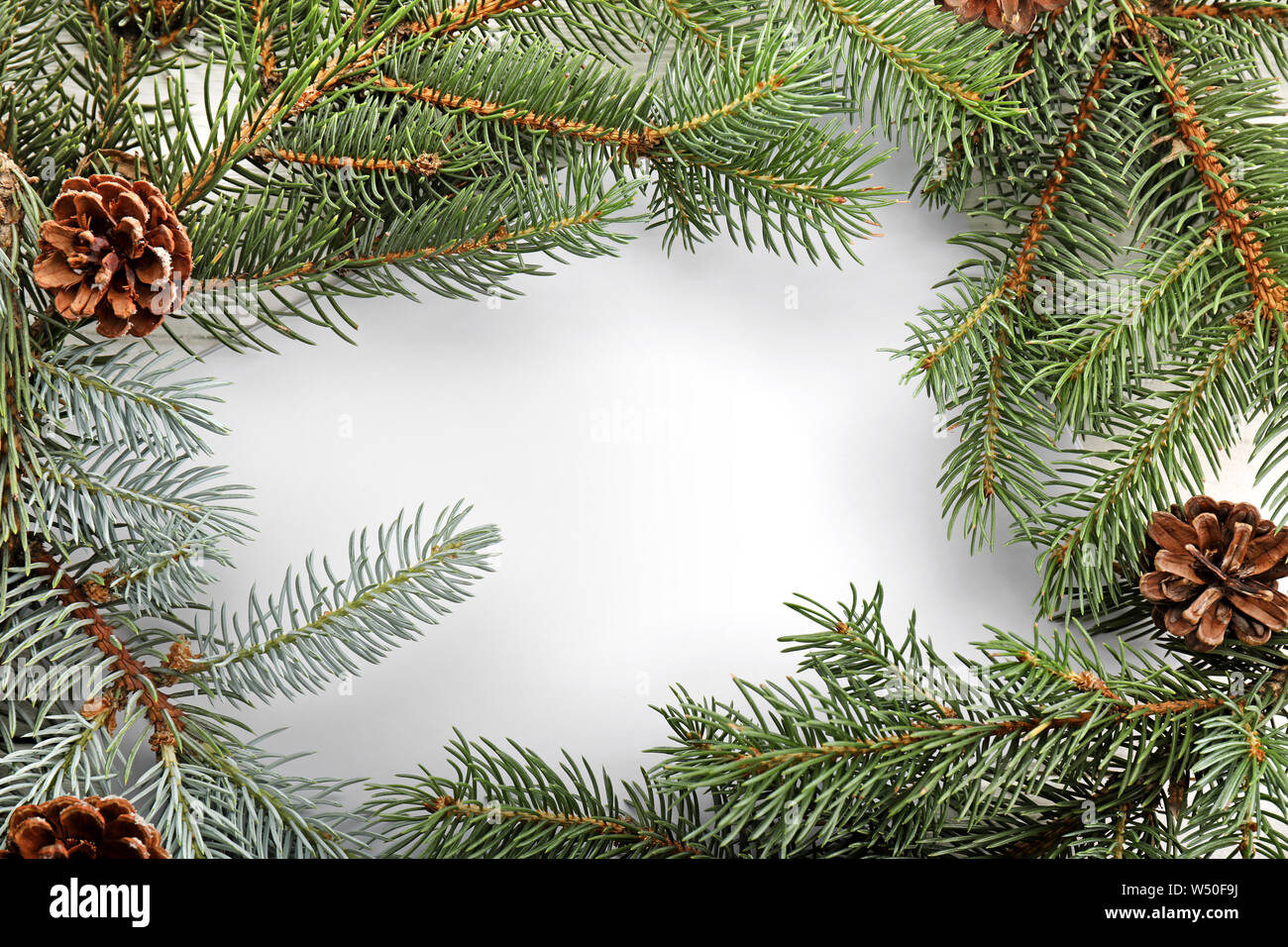 Frame made of fir tree branches on white background Stock Photo - Alamy