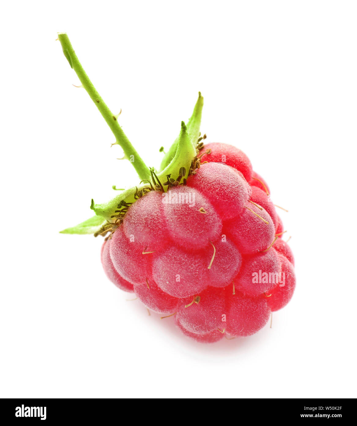 Fresh ripe raspberry on white background Stock Photo - Alamy