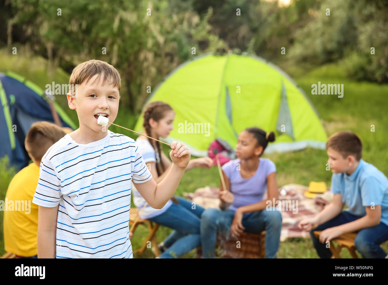 Little Girl With Marshmallow On Stick At Summer Camp Stock Photo Alamy