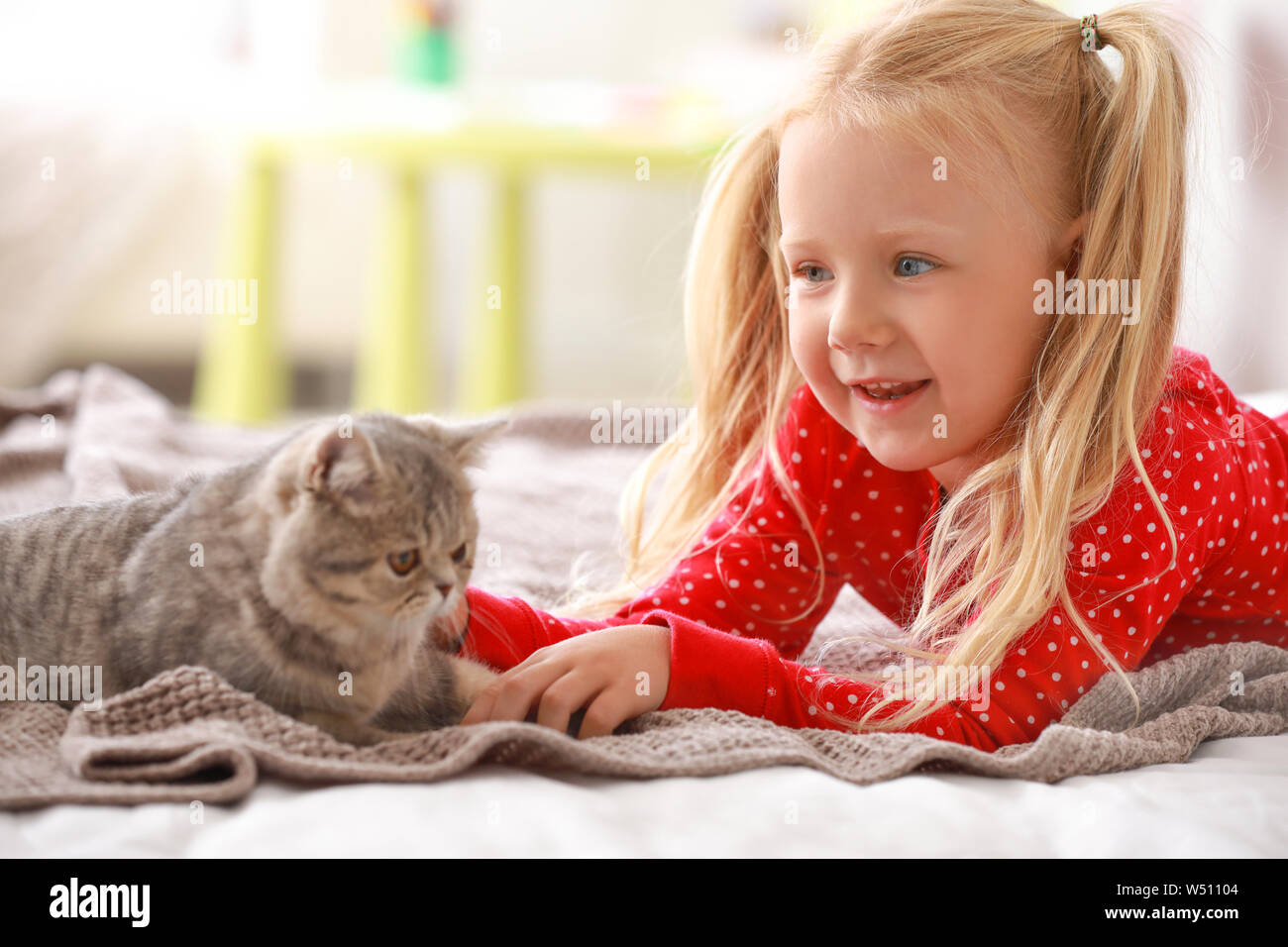 Little girl with cute cat on bed at home Stock Photo - Alamy