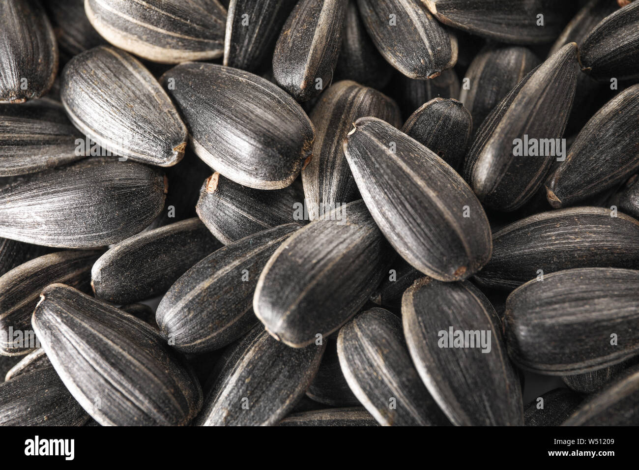Many sunflower seeds as background Stock Photo Alamy