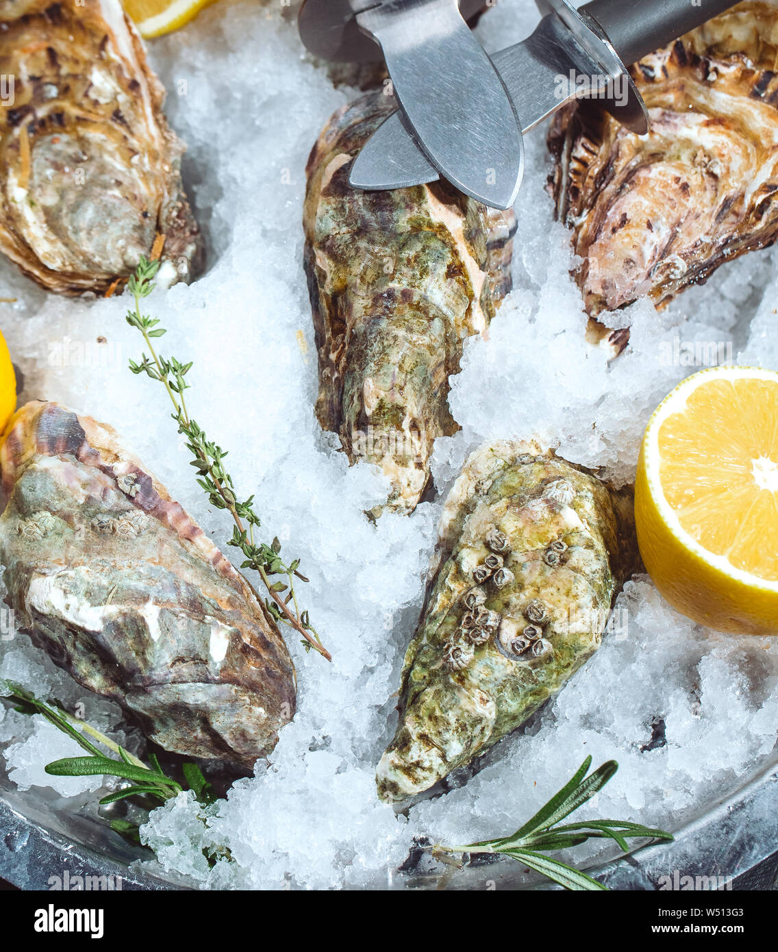 Oysters on stone plate with ice and lemon Stock Photo Alamy