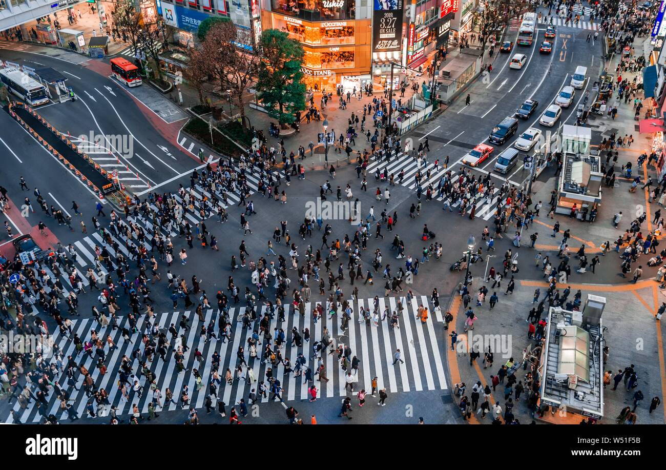 Shibuya Crossing from above, crowds of people at intersection illuminated with street lights and colorful signs, illuminated advertising in the Stock Photo