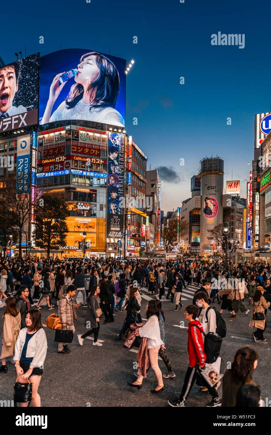 Shibuya Crossing, crowds of people at crossing colorful signs, illuminated advertising at dusk, railway station Shibuya, Shibuya, Udagawacho, Tokyo Stock Photo