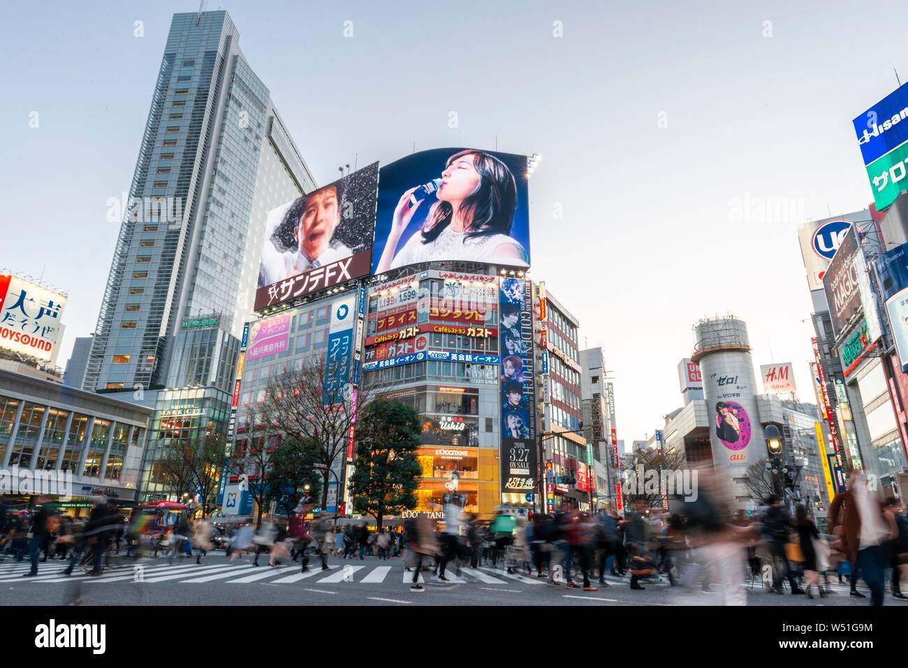 Shibuya Crossing, crossing with many pedestrians, many shopping centers and shops, illuminated advertising on skyscrapers, Shibuya, Tokyo, Japan Stock Photo