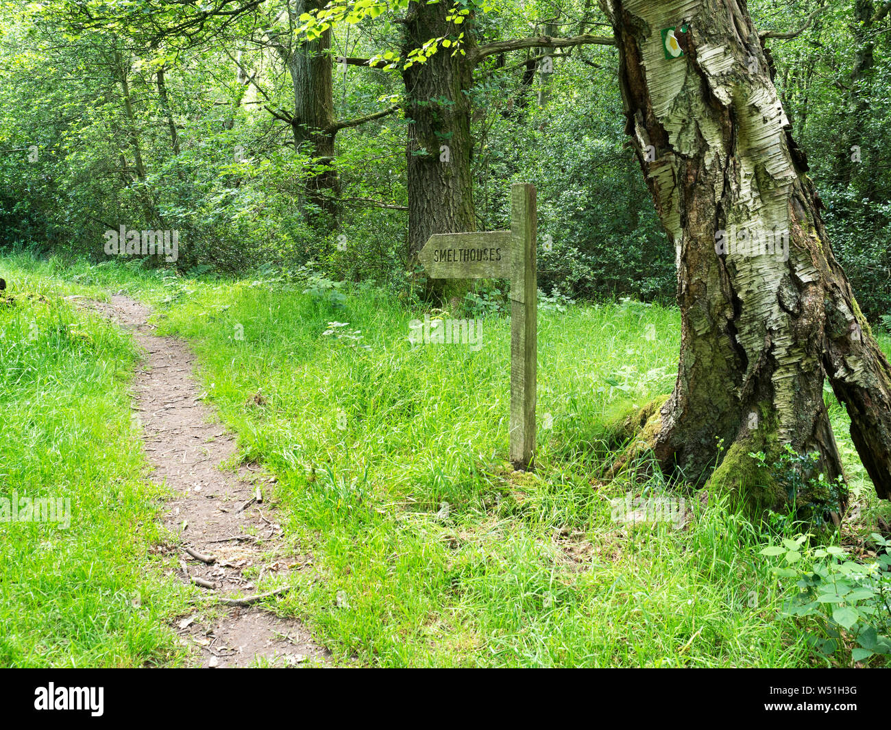 Smelthouses public footpath sign in woodland near White Houses Pateley Bridge Nidderdale North Yorkshire England Stock Photo