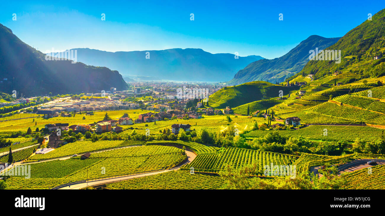 Vineyards view in Santa Maddalena Rencio Bolzano. Trentino Alto Adige