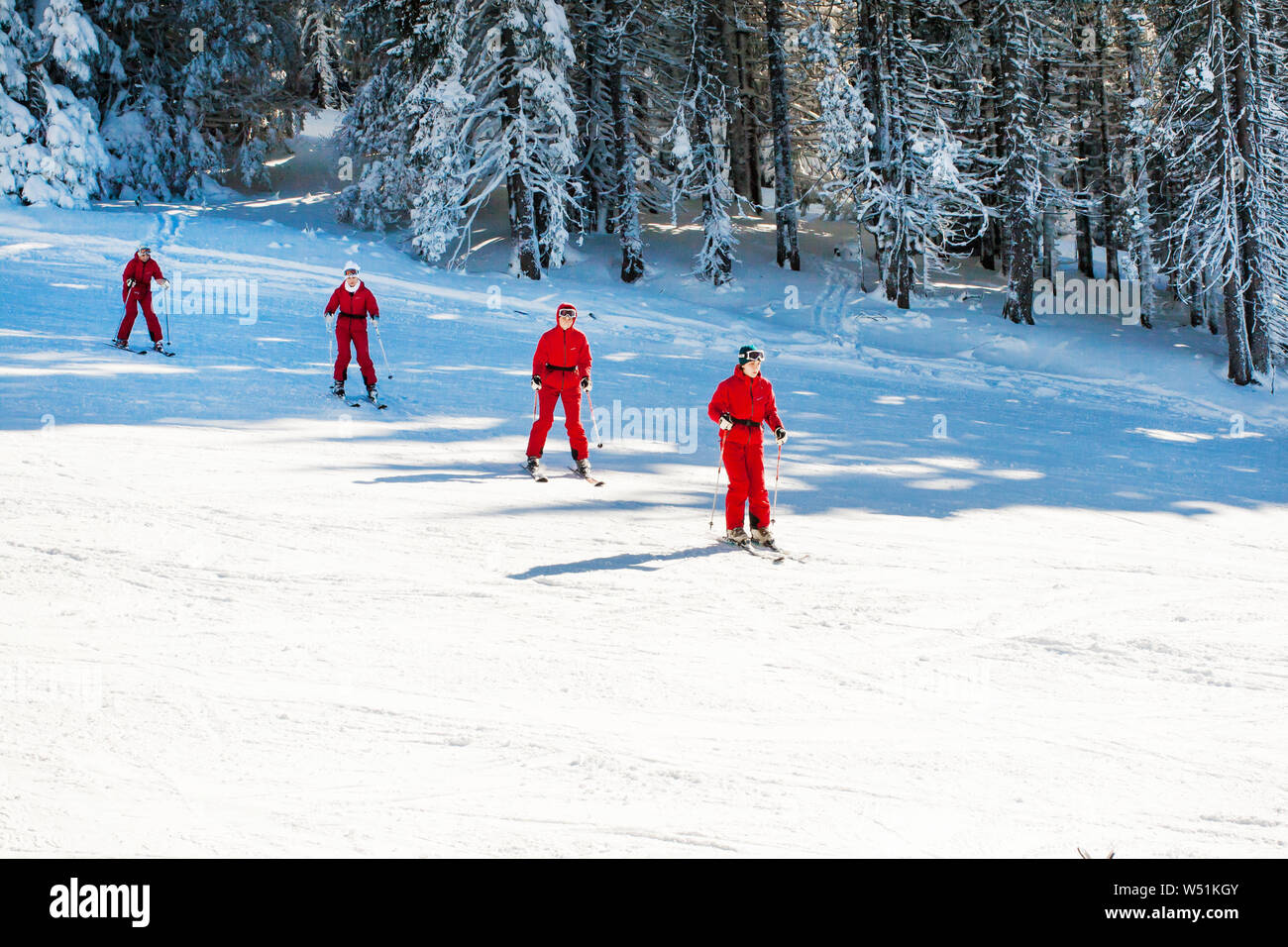 Kopaonik, Serbia - January 20, 2016:  Many women in vibrant red ski jackets skiing at the slope one after another. Learn to ski Stock Photo